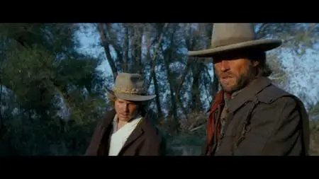 The Outlaw Josey Wales (1976)