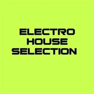 Electro House Selection (2008)
