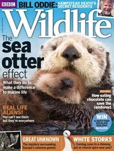 BBC Wildlife Magazine – June 2016
