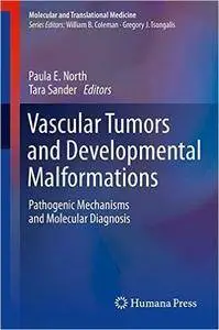 Vascular Tumors and Developmental Malformations: Pathogenic Mechanisms and Molecular Diagnosis