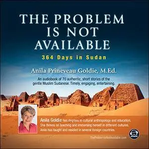 The Problem Is Not Available: 364 Days in Sudan [Audiobook]