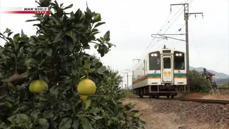 NHK Train Cruise - Living by the Sea along Kyushu's Southern Coast (2023)