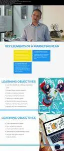 How to Write a Winning Marketing Plan