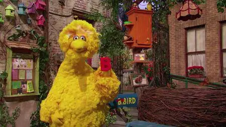 Sesame Street S48E07