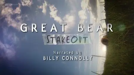 BBC - Great Bear Stakeout (2013)