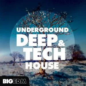 Big EDM - Underground Deep and Tech House MULTiFORMAT