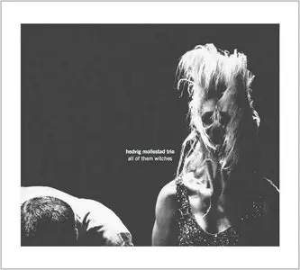 Hedvig Mollestad Trio - All Of The Witches (2013)
