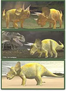 Triceratops