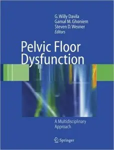 Pelvic Floor Dysfunction: A Multidisciplinary Approach (Repost)