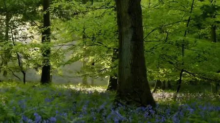 Wild Britain S01E02