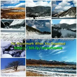 Snow Landscape Wallpaper