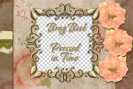 Brag Book: Pressed In Time
