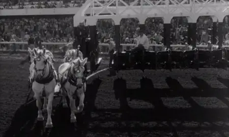 The Killing (1956)