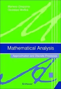 Mathematical Analysis: Approximation and Discrete Processes (Repost)