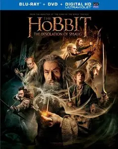  The Hobbit: The Desolation of Smaug (2013) 