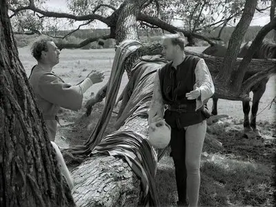 The Seventh Seal (1957)