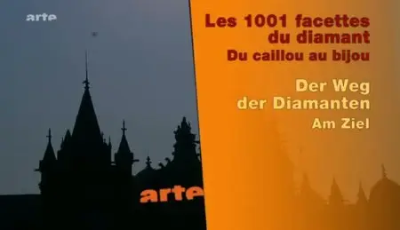 (Arte) 1001 facettes du diamant - Du caillou au bijou (2011)