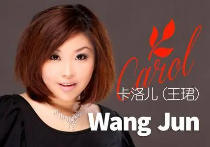 'Carol' Wang Jun - Collection (2004-2013)