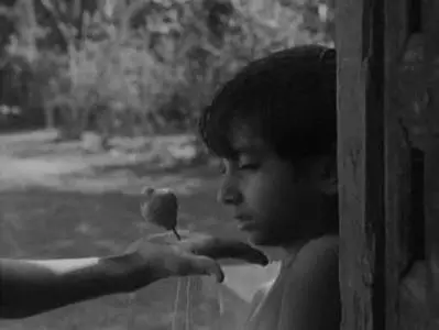 Satyajit Ray-Pather Panchali (1955)