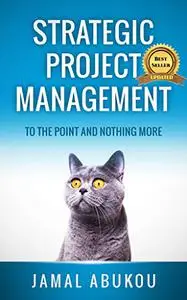 Strategic Project Management: To The Point And Nothing More