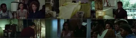 Norma Rae (1979)