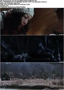 Romancing In Thin Air (2012)