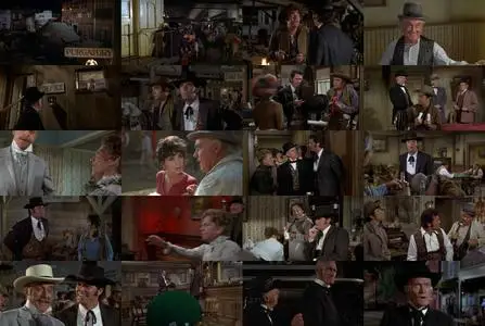 Support Your Local Gunfighter (1971)