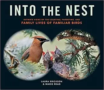 Into the Nest Intimate Views of the Courting, Parenting, and Family Lives of Familiar Birds