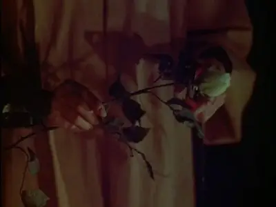 Bram Stoker's Shadowbuilder (1998)