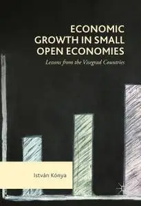Economic Growth in Small Open Economies: Lessons from the Visegrad Countries