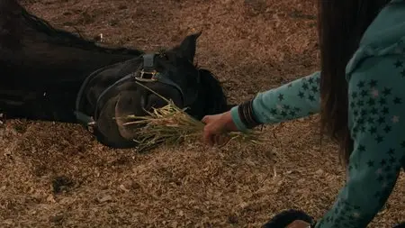 Flicka 2 (2010)