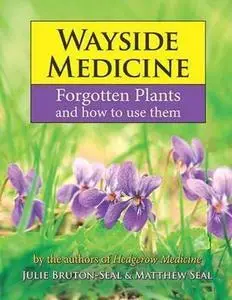 Wayside Medicine: Forgotten Plants to Make Your Own Herbal Remedies