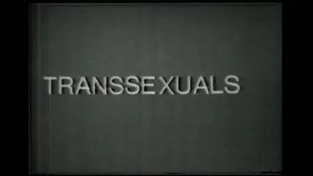 Global Village Inc. - Transsexuals (1971)