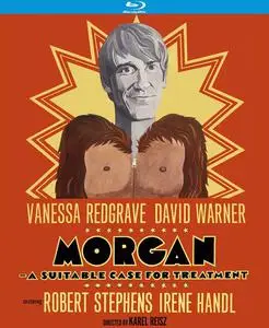 Morgan: A Suitable Case For Treatment (1966)