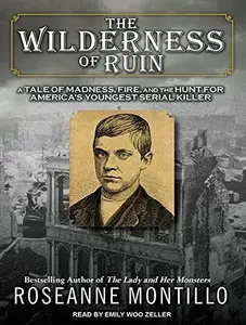 The Wilderness of Ruin [Audiobook]