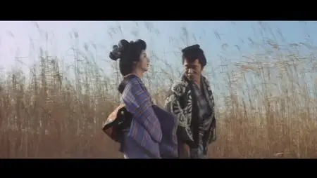 The Hell Fated Coutesan / (Maruhi) jorô seme jigoku (1973)
