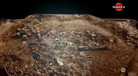 (Planète) Vikings, les mystères d'un massacre (2014)