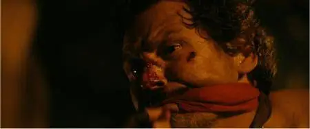 Stake Land (2010)