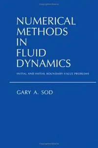 Numerical Methods in Fluid Dynamics: Initial and Initial Boundary-Value Problems (repost)