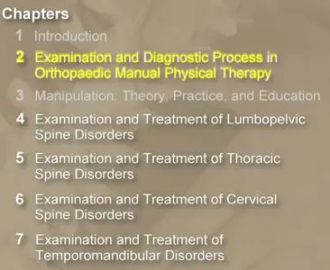 Manual Physical Therapy of the Spine (DVD)