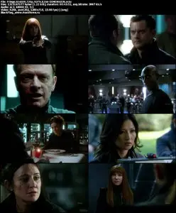 Fringe S04E09 "Enemy of My Enemy"