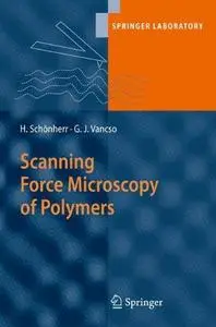 Scanning Force Microscopy of Polymers