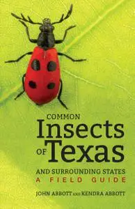 Common Insects of Texas and Surrounding States: A Field Guide