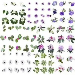 Flowers - PNG Clipart for Photoshop