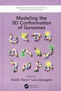 Modeling the 3D Conformation of Genomes (Repost)