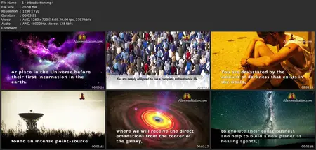Starseeds Fellowship & Andean Stellar Codes