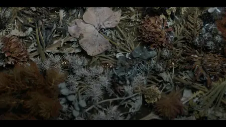 ted S01E08