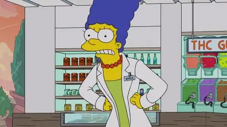 Die Simpsons S31E17