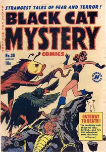 Black Cat Mystery 030