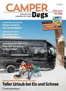 Camper-Dogs - 30 November 2023